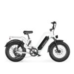 G-Force RS ST 48V 25Ah - Image 5