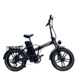 ALLEGRO TDL6125- 48V 35Ah - Image 4