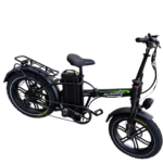 ALLEGRO- TDL6125- 48V 40AH - Image 3