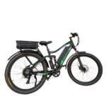 ALLEGRO TDL6131 55AH 48V - Image 4