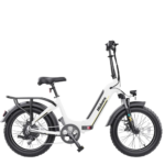 Hidoes BF1 - Image 4