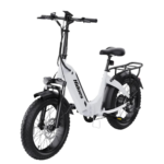 Hidoes BF1 - Image 3