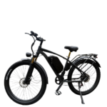 ELECTED E-Bike – 48V 15AH