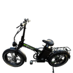 Allegro TDL6125 60AH 48V - Image 4